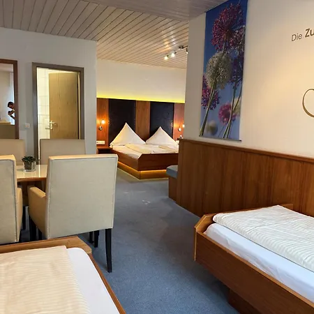 Gaestehaus Kraft 3* Lauffen am Neckar